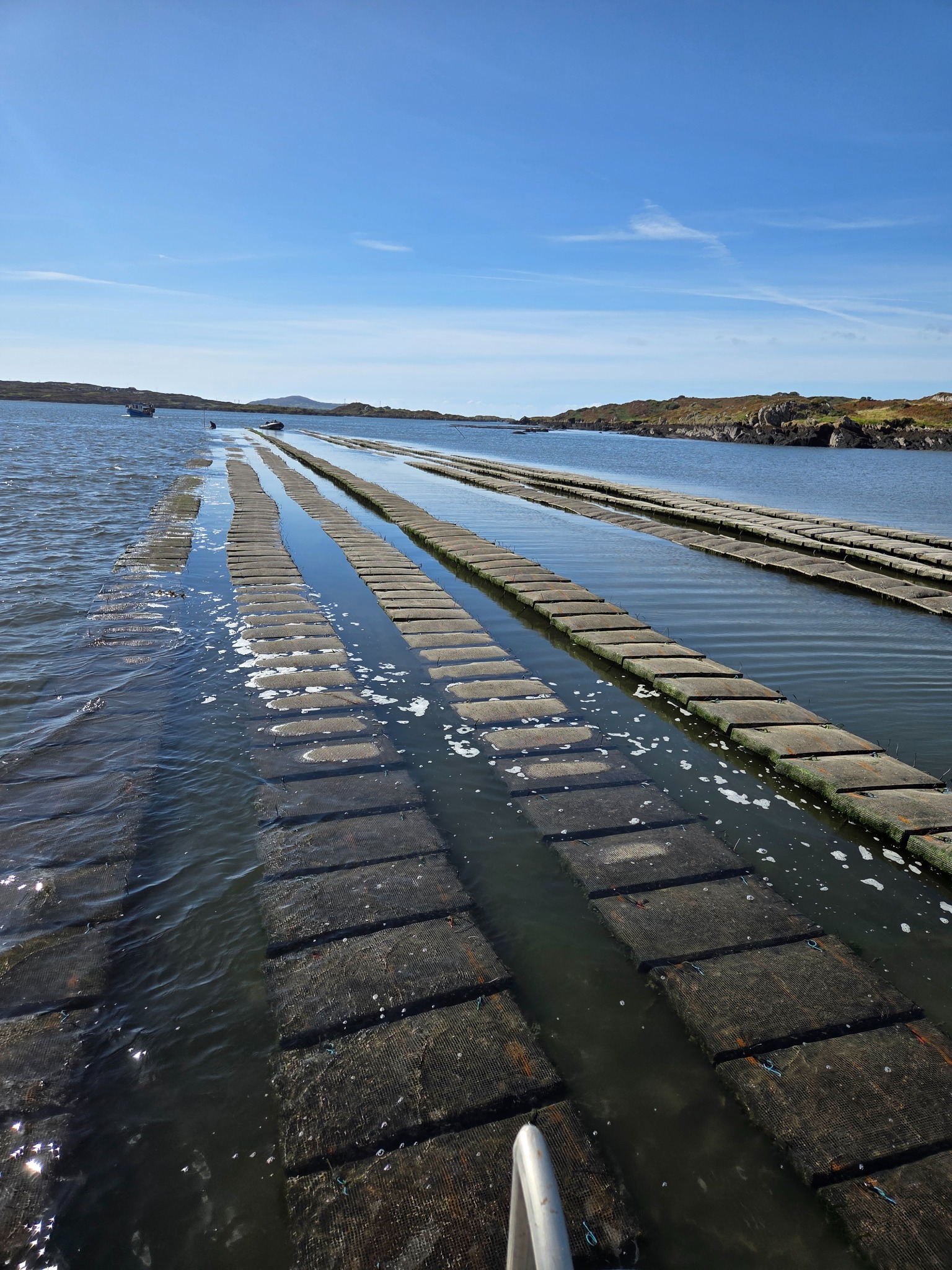 Oyster trestles at high tide